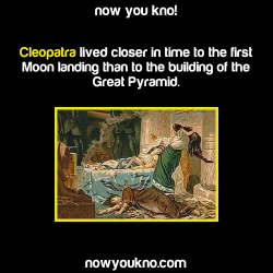 nowyoukno:  Now You Know more amazing facts!