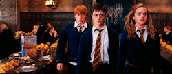celestial-sexhair:  sararye:  justarandomturtle:  we’re here to fuck shit up.  ron looks like he is ready to kill someone but very confused why  I feel like the above statement is a very good summary of ronald weasley 