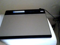 Guys,look I got a drawing pad and I might make my blog(If I get good enough)a pic reply blog,all I need is for someone to tell me how to screen capture a question