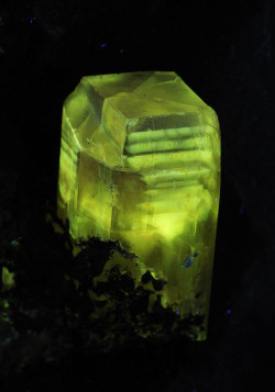 ifuckingloveminerals:  Phosgenite(312nm) Monteponi Mine, Iglesias, Carbonia-Iglesias Prov., Sardinia, Italy
