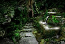 teuf-spyder:  crisolyn-uendelig:  odditiesoflife: Puzzlewood Magical Forest — The Real Middle Earth Puzzlewood is a unique and enchanting place, located in the beautiful and historic Forest of Dean in Gloucestershire, England. There is more than a mile
