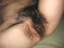 bigsohotpubes:  More Hairy Babes HERE   delicious hairy