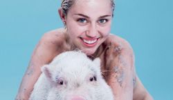 sery6:  Miley Cyrus