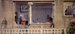 babydreamgirl:  vintagegal:  Rear Window (1954) dir. Alfred Hitchcock  wow same 