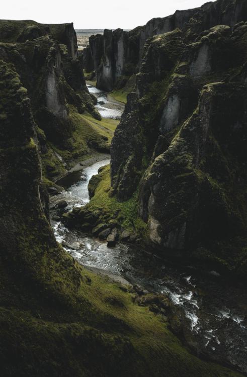 amazinglybeautifulphotography:  Fjaðrárgljúfur canyon, Iceland [OC] [3749x5723] - Author: rook_armor_pls on reddit