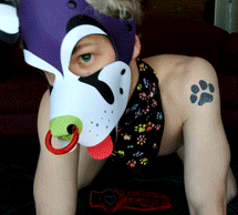 little-koggy:  5 gif set this time!!Here’s the video: https://www.pornhub.com/view_video.php?viewkey=ph5acdb2ce7904fThis is actually my first video of me wearing my pup hood! Also my first video with my toy Rex the German Shepherd :3I hope everyone