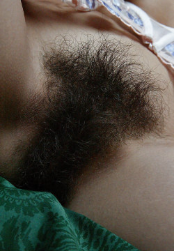 hairypictures:  Hairy Women Club 