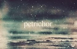 Some word porn cause I couldn&rsquo;t get a good third makeup pic.  #wordporn #petrichor #bibliophile #poetry #talkwordytome #typography