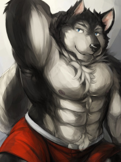 ralphthefeline:    I don’t think I do Siberian huskies often so decided to draw one~! I always picture them as being buff =w=   