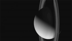 jtotheizzoe:  You guys like Saturn, right? Here’s a whole gallery of Saturn GIFs, from rings to moons, captured by the Cassini spacecraft. They’re part modern art and part science. Next to the Voyager twins, I think Cassini might be the best satellite