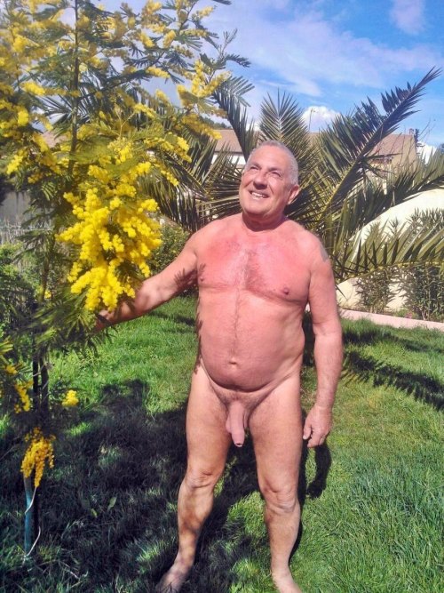 grandpanude:  Hans http://www.bearwww.com/pages/profile.php?id=763561&nick=HANS34&room=no&frames=no adult photos