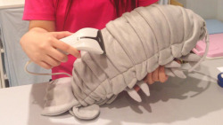 sagansense:   Here, have a cuddly giant isopod