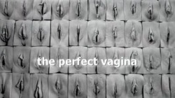 By the way, to whoever that ignorant anon who probably has only seen porn star vaginas was, there&rsquo;s a documentary called &ldquo;The Perfect Vagina&rdquo; that I&rsquo;d suggest you watch, but I know you probably won&rsquo;t so I&rsquo;ll just tell