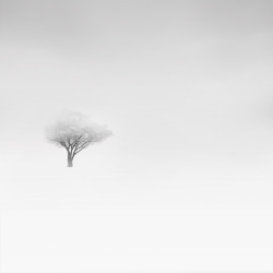 republicx:  White Silence by Vassilis Tangoulis&ldquo;White silence&rdquo;-Second Place in International Photography Awards IPA 2013 (Category: Nature-Landscapes) 