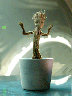 yahooentertainment:  Here’s a dancing baby Groot for your blog 