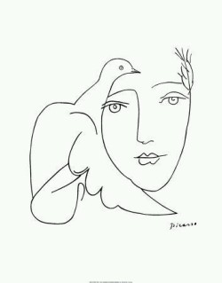 bacteriia:  Pablo Picasso’s Line drawings 