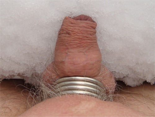 cock in snow adult photos