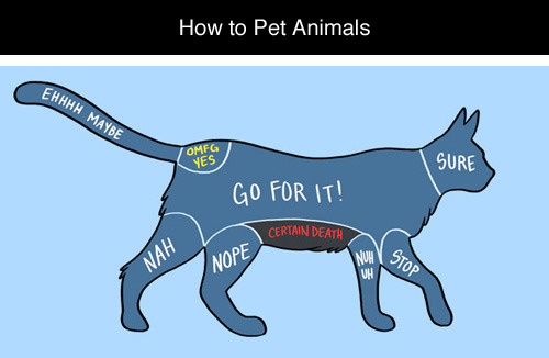 Porn Pics tastefullyoffensive:  How to Pet Animals