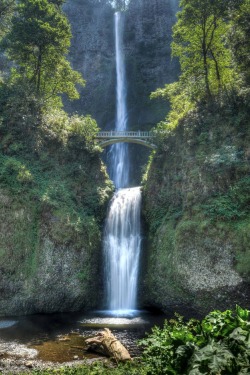 sublim-ature:Multnomah Falls, OregonPhoenixRider