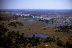 antiopia:   	Botswana-Okavango Delta (June, 2009) Aerial view of the Okavango Delta near the peak of the annual floodwaters which have followed the Okavango river system from Angola.  The photo was taken after two days of heavy rain in northern Botswana,