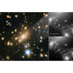 Fortuitous Flash Candidate for the Farthest Star Yet Seen #nasa #apod #esa #hubblespacetelescope #hubble #star #flash #gravitationallensing #galaxycluster  #bluesupergiant #icarus #intergalactic #interstellar #universe #space #science #astronomy