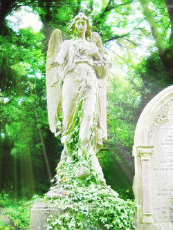 catherineviolent:  Highgate Cemetery