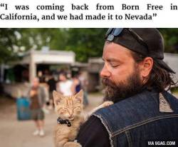 petermorwood:  daemonysh:  This is too much adorableness &lt;3&lt;3&lt;3  I’ll reblog this every time I see it, because there’s something about burly beardy bikers giving help and companionship to a small hurt kitten that makes the world a little