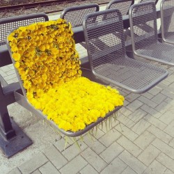 plantial:  I did this at a bus stop once. I missed my bus and the next one wasn’t supposed to come for another hour, so I had time to kill. A little girl walking with her mom said it looked like a throne for a flower princess. 