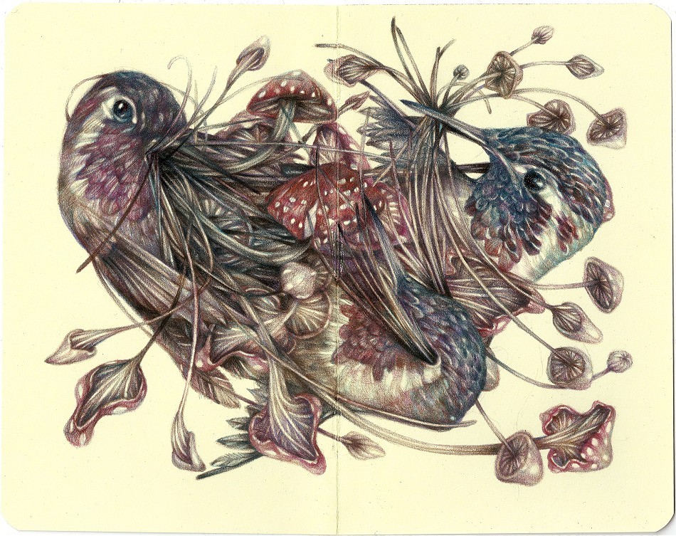 exhibition-ism:  Marco Mazzoni&rsquo;s first ever solo exhibition is now on view