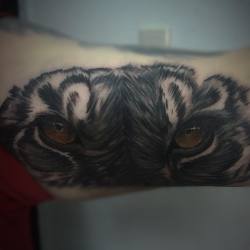 #tattoo #tatu #tatuaje #ink #inked #inkup #inklife #tigre #tiger #ojos #eye #eyes #color #colors #black #blackink #blacktattoo #blackandgray #Venezuela #lara #barquisimeto #gabodiaz04 #brazo #arm #tattooedman #man