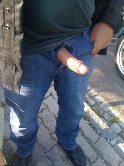 harddaddies:  huge cock out of jeans - perfect
