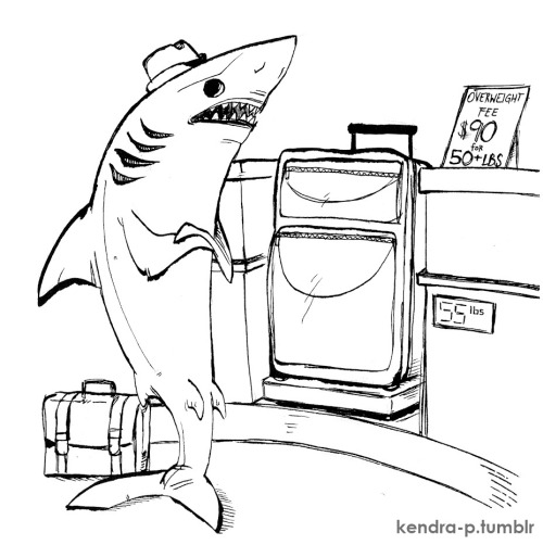 kendra-p:  Sharks coping with contemporary inconveniences 