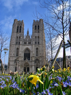 breathtakingdestinations:  Cathedral of St. Michael and St. Gudula - Brussels - Belgium (von Vlastula)