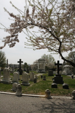 dreemmachine:  cemetery in baltimore 