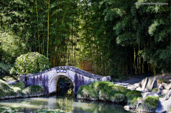 hippynz:  Bridge In Chinese Gardens Dreamy 5329 on Flickr.Bridge In Chinese Gardens Dreamy 5329