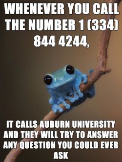 Now I just gotta think up a GOOD one &hellip; (the number connects you with Auburn University&rsquo;s Foy Information Line; your call will be answered 24 hours a day, Mondays through Thursdays, during the school year)