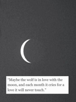 I posted this several years ago, and I’m posting it again, with a significant difference.  The wolf is no longer crying and he is not alone.   He’s beside his love, and they howl at the moon together.