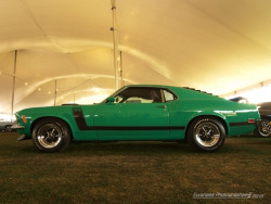carpr0n:  Safe zone Starring: Ford Mustang Boss 302 (by Swanee 3)