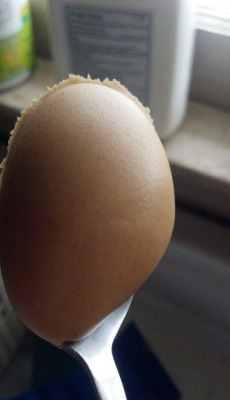 shippingeveryshipthereeverwas:  ridleyscottish:  human:  this picture of peanut butter is so satisfying  anyone else think it was an egg at first   I thought it was a breast implant…..