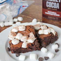 delicious-food-porn:   Hot cocoa brownies The best fudge brownies Chocolate chip cookie dough brownies Triple chocolate brownies Caramel filled brownies Milk chocolate peanut butter truffle brownies Nutella brownies Ultimate fudge brownies with peanut