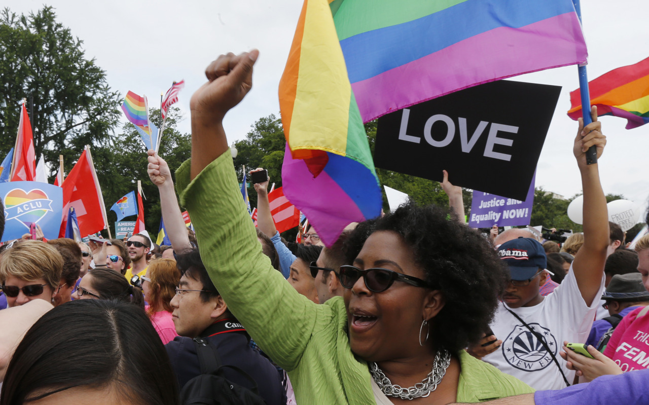 newsweek:    Washington DC - Same-sex marriage supporters take a selfie in front