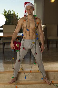 texasfratboy:  so where do i find a christmas tree as sexy as this???  heehee