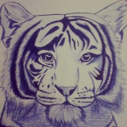 Tiger #sketch #painting #pen #blue #tiger #drawing #draw #animals