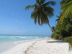 wilpics:  Punta Cana beach in the Dominican