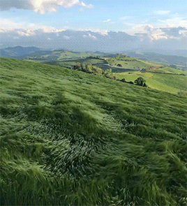 fluffygif:  A heavenly place by dorpell