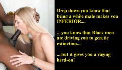 subboi4bbc:  Its in all white bois to react with intense lust to being emasculated. As you evolve to being submissive and accept our fate of inferiority and domination, you will be there with lust and desire that is overwhelming.  