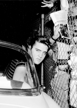  Elvis at the Los Angeles airport, August