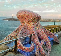 srsfunny: Mosaic Octopus In Spain