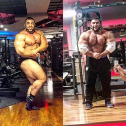 Isaac Qavidel - Sitting at approxiately 320lbs, now that is a fucking off season.
