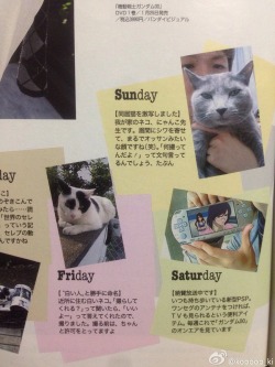 So both Kamiya Hiroshi and Jaejoong’s cats are/were Russian Blues&hellip;&hellip;I’m officially convinced that Levi would be a cat person and possess an affinity for Russian Blues.